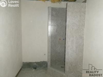 Pronájem výrobní haly Brno, Tovární č. 5