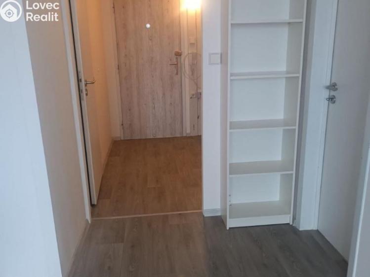 Pronájem bytu 1+KK Praha, Levského č. 3