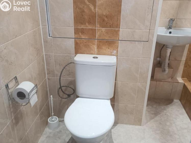 Pronájem bytu 1+KK Praha, Levského č. 5