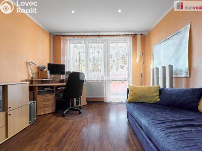 Sale apartment 3+KK Nová Role, Pod Nádražím č. 17