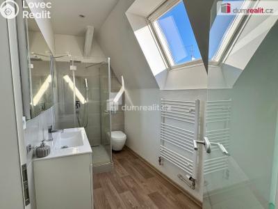 Pronájem bytu 3+KK Chomutov, Nerudova č. 3