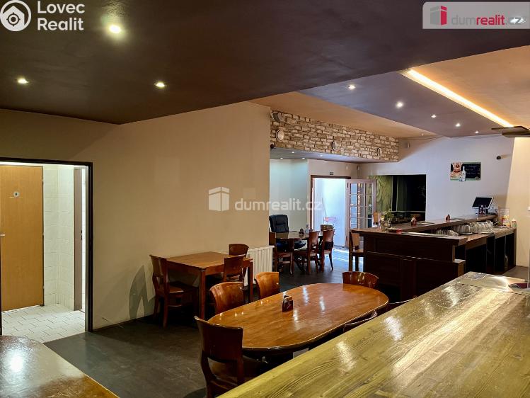 Rent commercial space Karlovy Vary, U Koupaliště č. 3