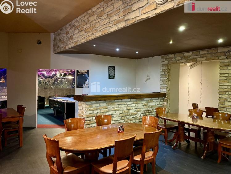 Rent commercial space Karlovy Vary, U Koupaliště č. 4