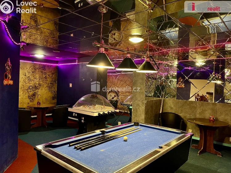 Rent commercial space Karlovy Vary, U Koupaliště č. 6