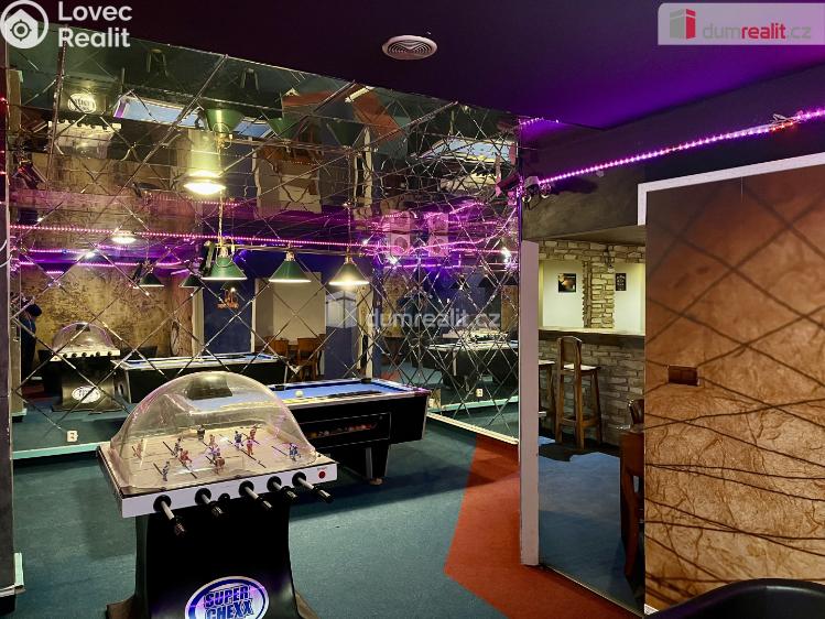 Rent commercial space Karlovy Vary, U Koupaliště č. 7