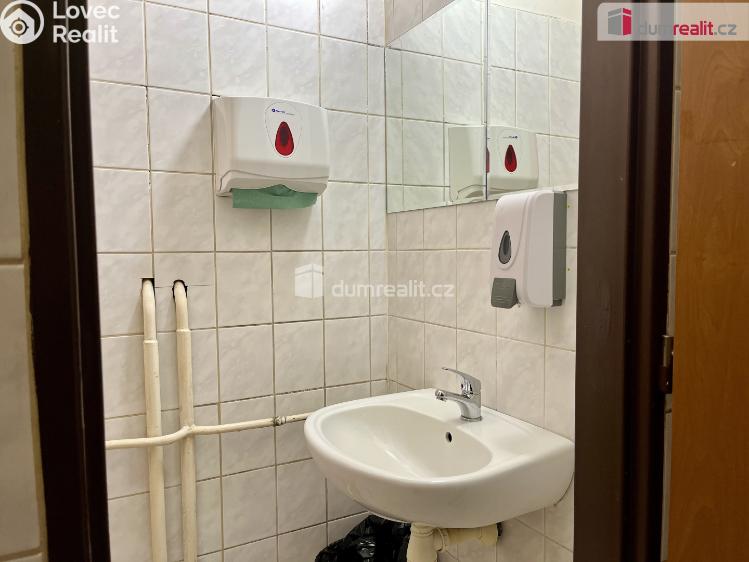 Rent commercial space Karlovy Vary, U Koupaliště č. 17