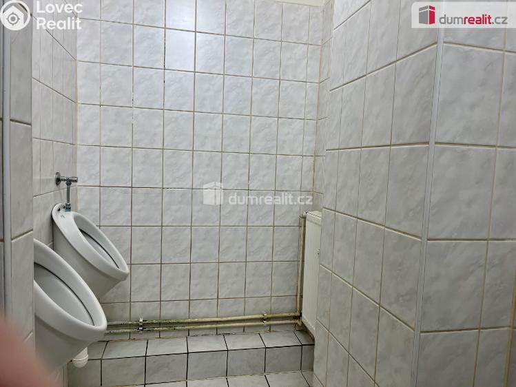 Rent commercial space Karlovy Vary, U Koupaliště č. 20