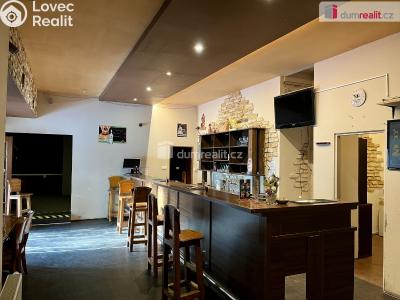 Rent commercial space Karlovy Vary, U Koupaliště č. 1