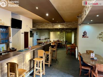 Rent commercial space Karlovy Vary, U Koupaliště č. 2