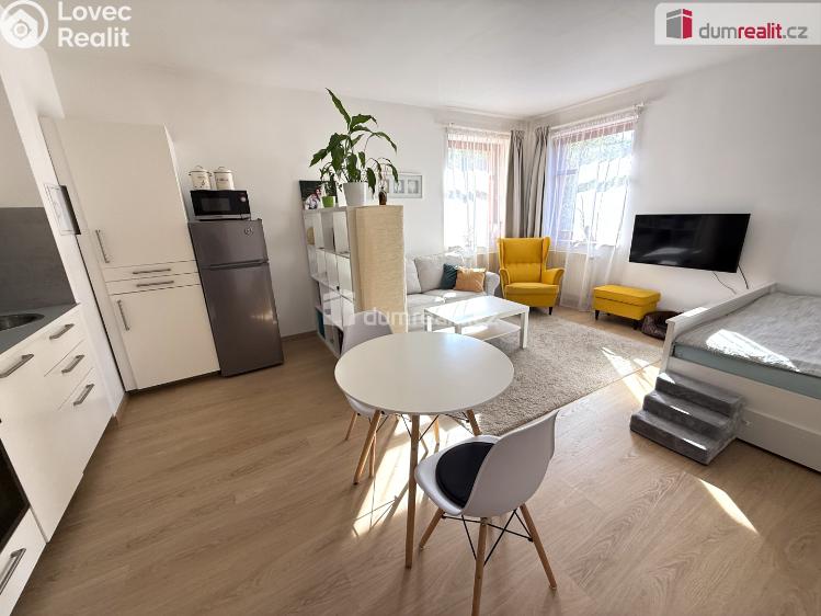 Pronájem bytu 1+KK Kralupy nad Vltavou, Přemyslova č. 2