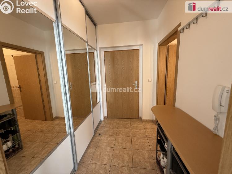 Pronájem bytu 1+KK Kralupy nad Vltavou, Přemyslova č. 6