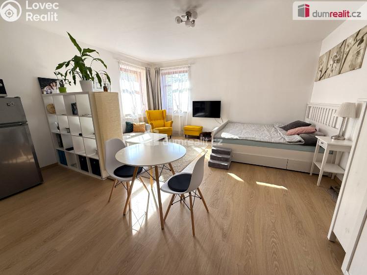 Pronájem bytu 1+KK Kralupy nad Vltavou, Přemyslova č. 7
