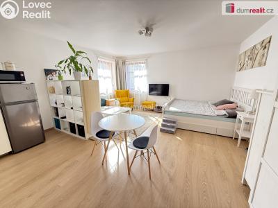 Pronájem bytu 1+KK Kralupy nad Vltavou, Přemyslova č. 1