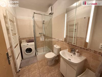 Pronájem bytu 1+KK Kralupy nad Vltavou, Přemyslova č. 5