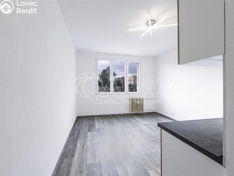 Pronájem bytu 1+KK Klatovy, Prusíkova 481 č. 2