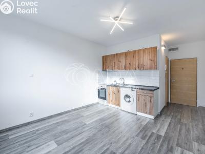 Pronájem bytu 1+KK Klatovy, Prusíkova 481 č. 1