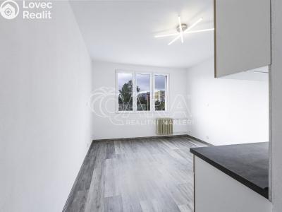 Pronájem bytu 1+KK Klatovy, Prusíkova 481 č. 2