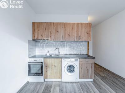 Pronájem bytu 1+KK Klatovy, Prusíkova 481 č. 4