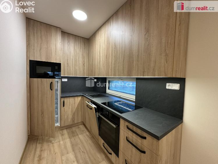 Оренда сімейного будинку Žarošice č. 1