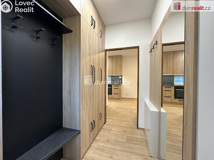 Оренда сімейного будинку Žarošice č. 4