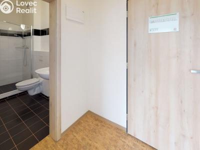 Pronájem bytu 1+KK Praha, Křížová č. 4