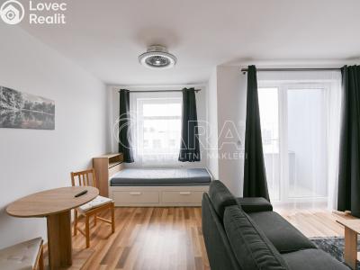 Pronájem bytu 1+KK Praha, Karla Guta č. 6