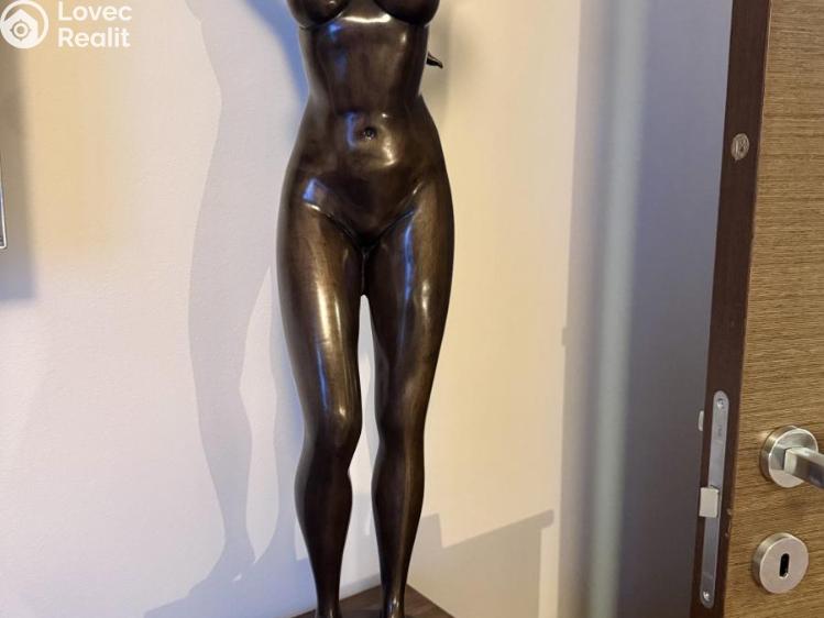 Pronájem bytu 2+KK Praha, K sídlišti 1728/29 č. 17