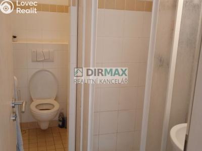 Pronájem bytu 1+1 Plzeň, Malesická č. 4