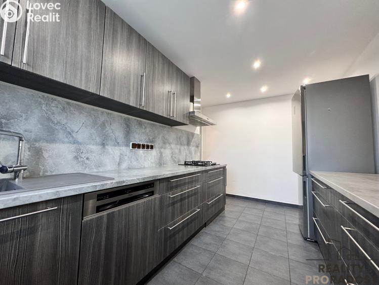 Pronájem bytu 2+1 Hodonín, Erbenova 2990/20 č. 2