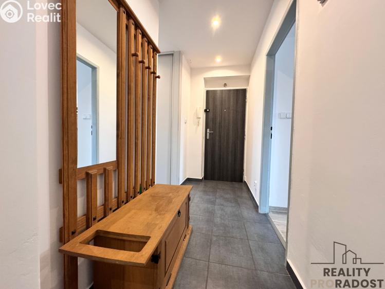 Pronájem bytu 2+1 Hodonín, Erbenova 2990/20 č. 4