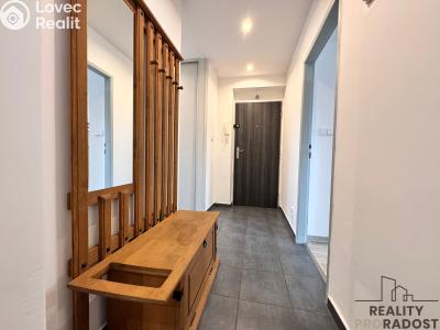 Pronájem bytu 2+1 Hodonín, Erbenova č. 4