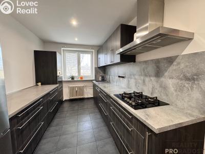 Rent apartment 2+1 Hodonín, Erbenova č. 1