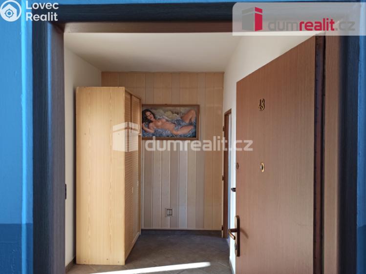 Pronájem bytu 2+1 Ostrov, Severní č. 8
