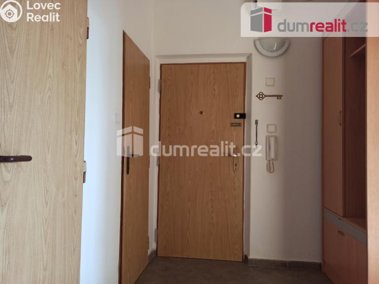 Pronájem bytu 2+1 Ostrov, Severní č. 9