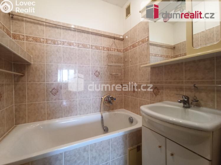 Pronájem bytu 2+1 Ostrov, Severní č. 19