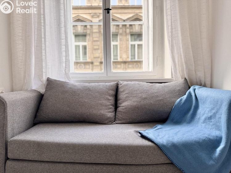 Pronájem bytu 2+1 Praha, Krakovská č. 13