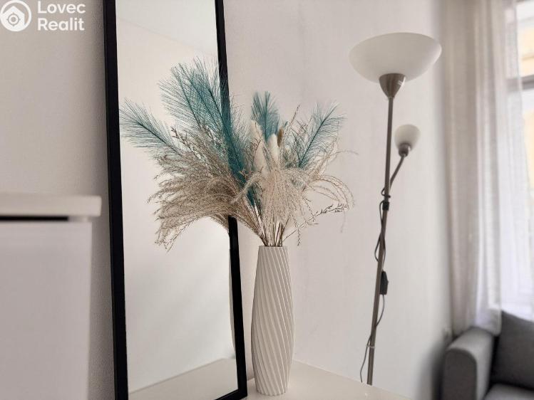 Pronájem bytu 2+1 Praha, Krakovská č. 8