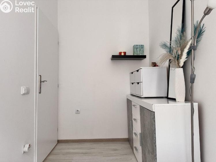 Pronájem bytu 2+1 Praha, Krakovská č. 10