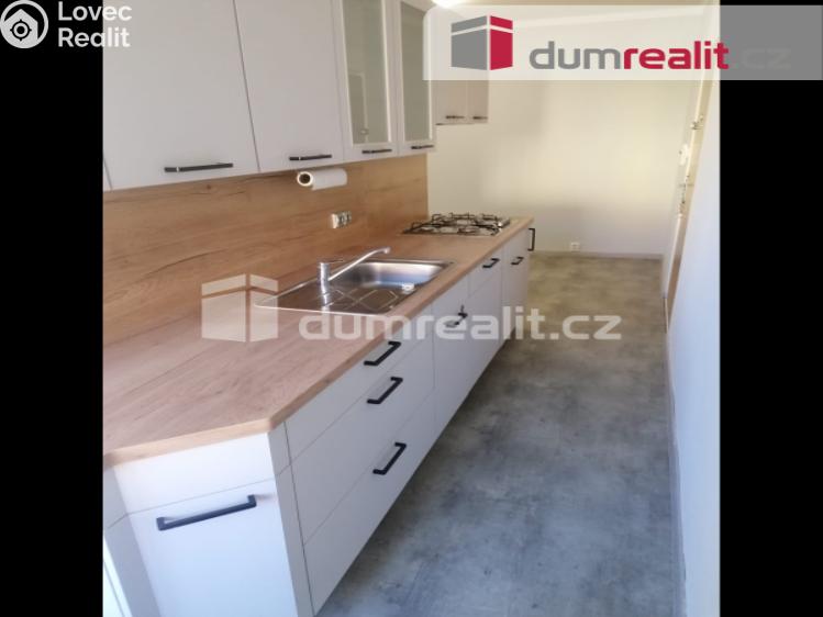 Pronájem bytu 2+1 Karlovy Vary, Janáčkova č. 11