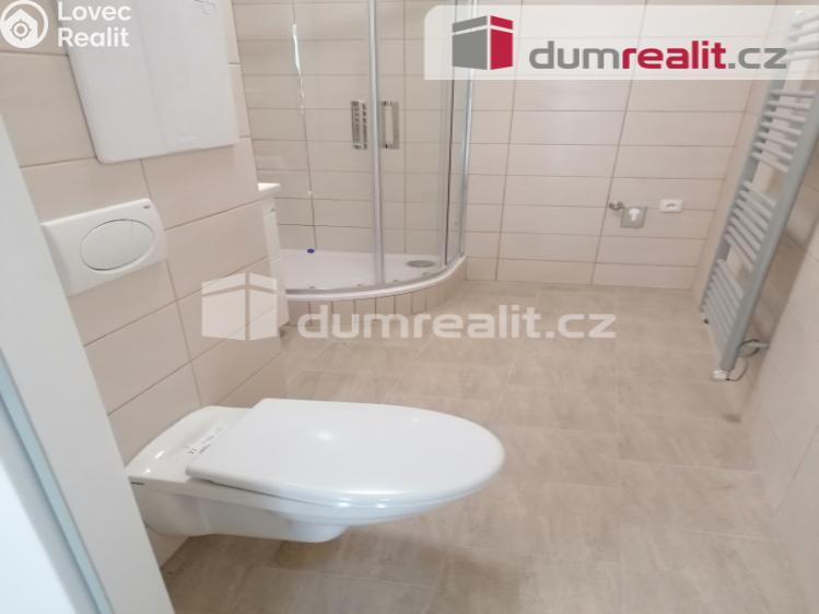 Pronájem bytu 2+1 Karlovy Vary, Janáčkova č. 29