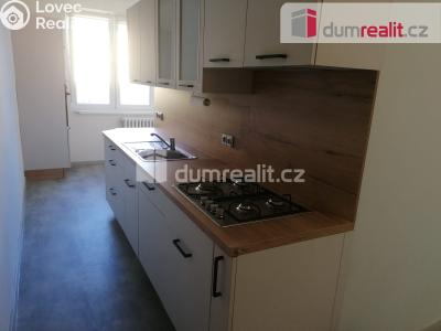 Pronájem bytu 2+1 Karlovy Vary, Janáčkova č. 1