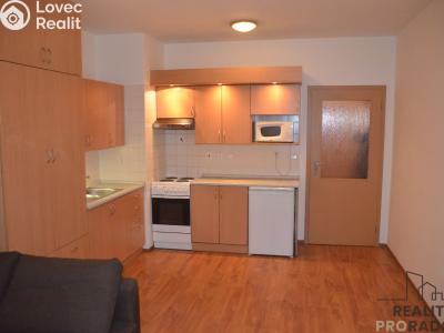 Pronájem bytu 1+KK Brno, Zderadova č. 1