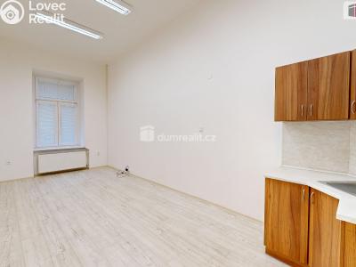 Аренда офисного помещения Opava, Krnovská č. 1