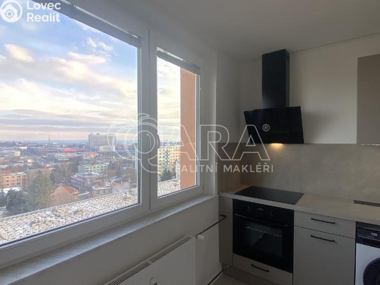 Pronájem bytu 1+1 Brno, Kamínky 284/11 č. 5