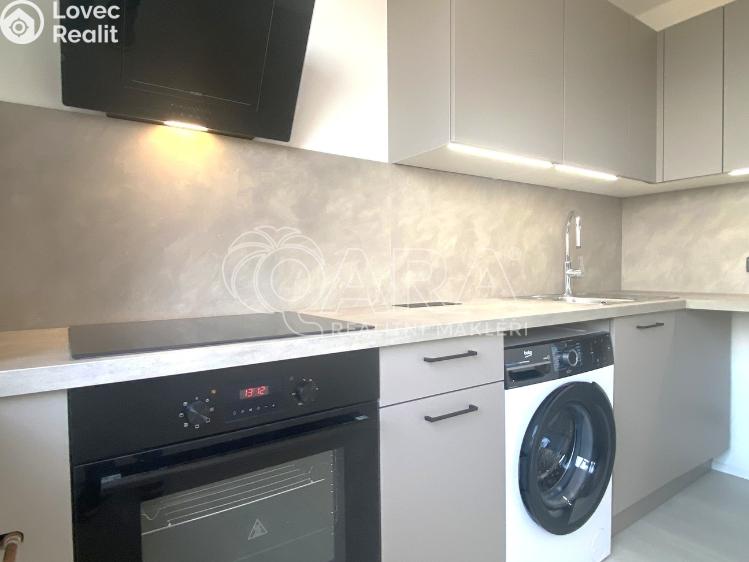 Pronájem bytu 1+1 Brno, Kamínky 284/11 č. 6