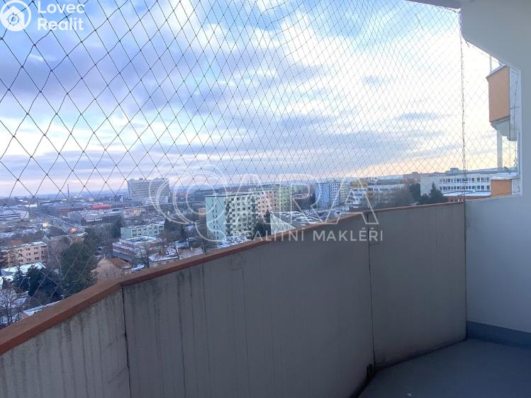 Pronájem bytu 1+1 Brno, Kamínky 284/11 č. 8