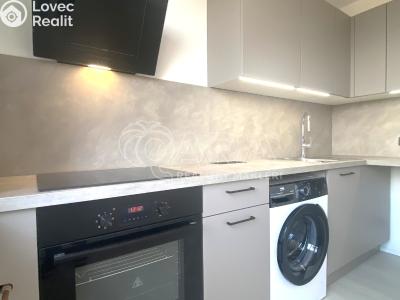 Pronájem bytu 1+1 Brno, Kamínky č. 6