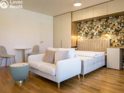 Pronájem bytu 1+1 Praha, Tyršova č. 1