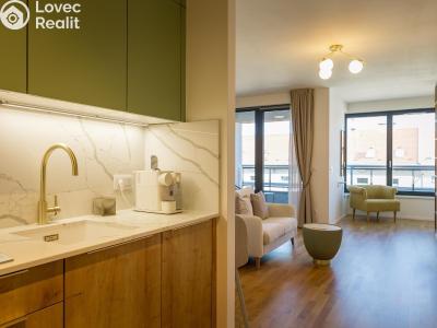 Pronájem bytu 1+1 Praha, Tyršova č. 2