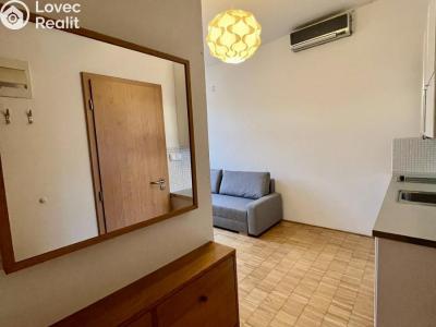 Pronájem bytu 1+KK Praha, Zenklova č. 5